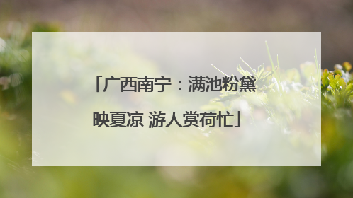 广西南宁：满池粉黛映夏凉 游人赏荷忙