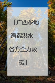 广西多地遭遇洪水 各方全力救援