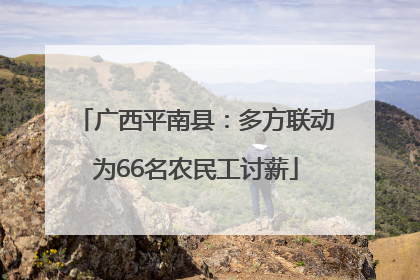 广西平南县：多方联动为66名农民工讨薪