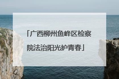 广西柳州鱼峰区检察院法治阳光护青春