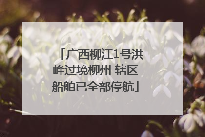广西柳江1号洪峰过境柳州 辖区船舶已全部停航