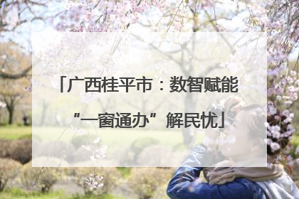 广西桂平市：数智赋能“一窗通办”解民忧
