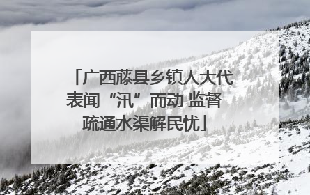 广西藤县乡镇人大代表闻“汛”而动 监督疏通水渠解民忧