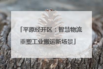 平原经开区：智慧物流重塑工业搬运新场景