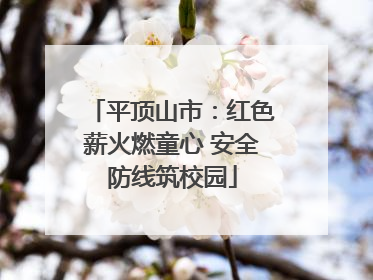 平顶山市：红色薪火燃童心 安全防线筑校园