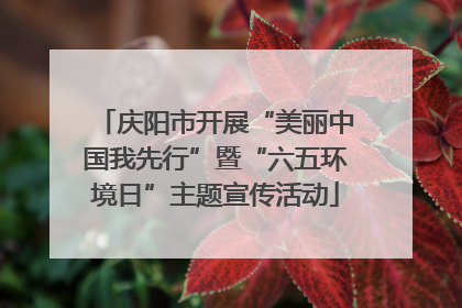 庆阳市开展“美丽中国我先行”暨“六五环境日”主题宣传活动
