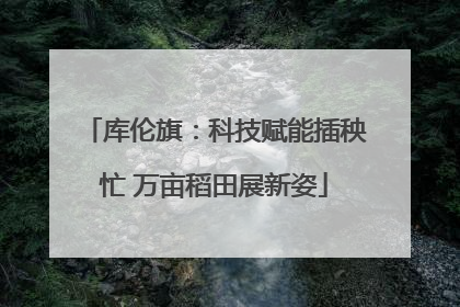 库伦旗：科技赋能插秧忙 万亩稻田展新姿