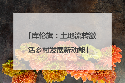 库伦旗：土地流转激活乡村发展新动能