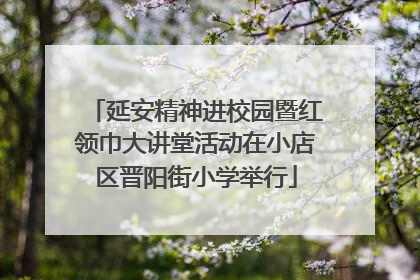 延安精神进校园暨红领巾大讲堂活动在小店区晋阳街小学举行