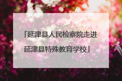 延津县人民检察院走进延津县特殊教育学校