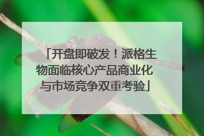 开盘即破发！派格生物面临核心产品商业化与市场竞争双重考验