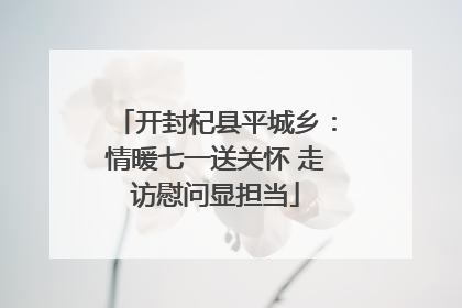开封杞县平城乡：情暖七一送关怀 走访慰问显担当