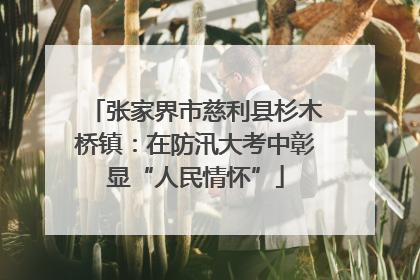 张家界市慈利县杉木桥镇：在防汛大考中彰显“人民情怀”
