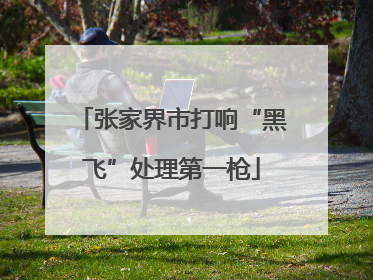 张家界市打响“黑飞”处理第一枪
