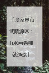 张家界市武陵源区：山水画卷铺就通途