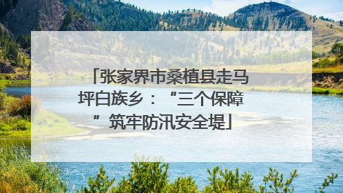 张家界市桑植县走马坪白族乡：“三个保障”筑牢防汛安全堤