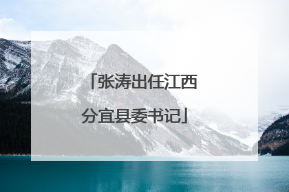 张涛出任江西分宜县委书记