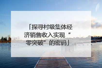 探寻村级集体经济销售收入实现“零突破”的密码
