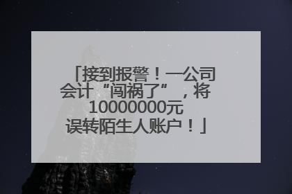 接到报警！一公司会计“闯祸了”，将10000000元误转陌生人账户！