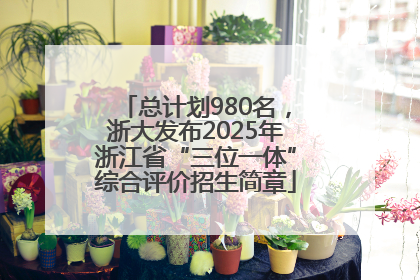 总计划980名，浙大发布2025年浙江省“三位一体”综合评价招生简章