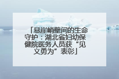 悬崖峭壁间的生命守护：湖北省妇幼保健院医务人员获“见义勇为”表彰