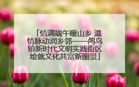 情满端午暖山乡 温情脉动润乡邻——鸬鸟镇新时代文明实践街区绘就文化共富新图景