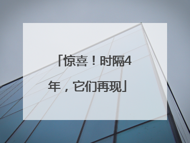 惊喜！时隔4年，它们再现
