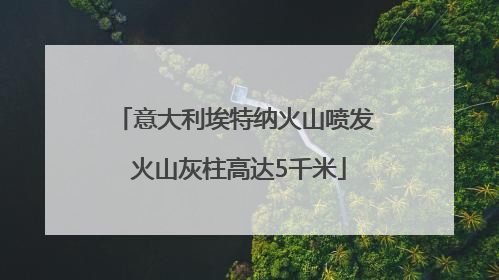 意大利埃特纳火山喷发 火山灰柱高达5千米