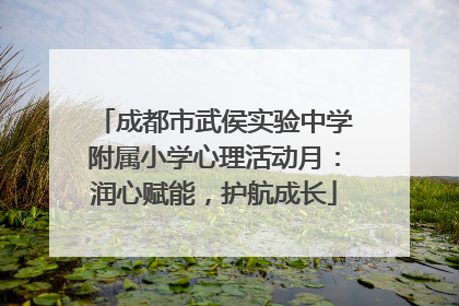 成都市武侯实验中学附属小学心理活动月：润心赋能，护航成长