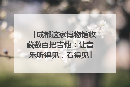 成都这家博物馆收藏数百把吉他：让音乐听得见，看得见