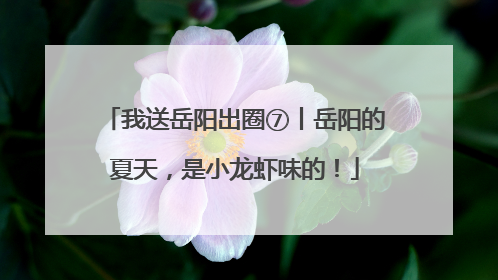 我送岳阳出圈⑦丨岳阳的夏天，是小龙虾味的！
