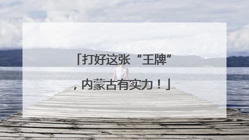 打好这张“王牌”，内蒙古有实力！