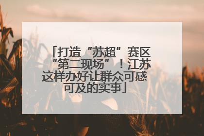 打造“苏超”赛区“第二现场”！江苏这样办好让群众可感可及的实事