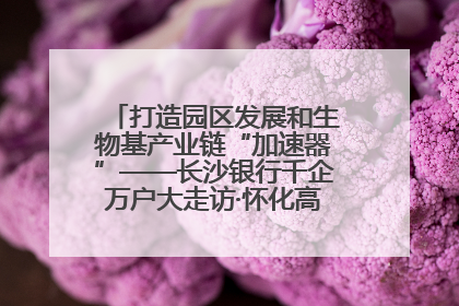 打造园区发展和生物基产业链“加速器”——长沙银行千企万户大走访·怀化高新区、生物基产业链专场活动举行