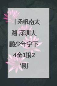 扬帆南太湖 深圳大鹏少年拿下4金1银2铜