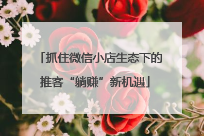 抓住微信小店生态下的推客“躺赚”新机遇