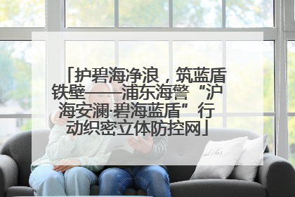 护碧海净浪，筑蓝盾铁壁——浦东海警“沪海安澜·碧海蓝盾”行动织密立体防控网