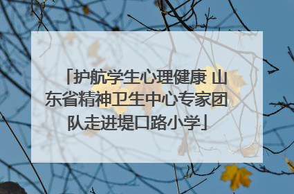 护航学生心理健康 山东省精神卫生中心专家团队走进堤口路小学