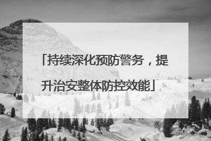 持续深化预防警务，提升治安整体防控效能