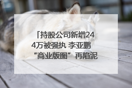 持股公司新增244万被强执 李亚鹏“商业版图”再陷泥潭？｜科技观察