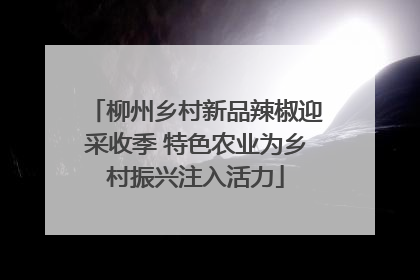 柳州乡村新品辣椒迎采收季 特色农业为乡村振兴注入活力
