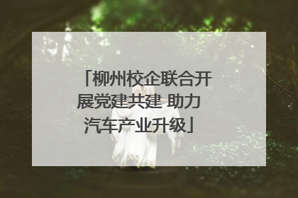 柳州校企联合开展党建共建 助力汽车产业升级
