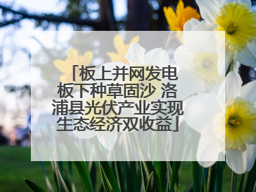 板上并网发电 板下种草固沙 洛浦县光伏产业实现生态经济双收益