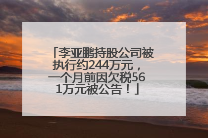 李亚鹏持股公司被执行约244万元，一个月前因欠税561万元被公告！