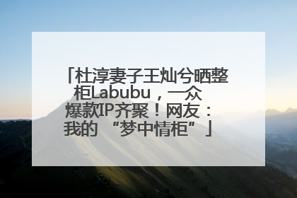 杜淳妻子王灿兮晒整柜Labubu，一众爆款IP齐聚！网友：我的 “梦中情柜”