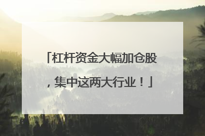 杠杆资金大幅加仓股，集中这两大行业！