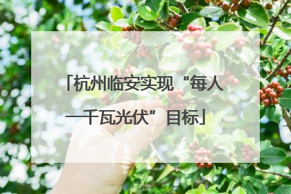 杭州临安实现“每人一千瓦光伏”目标
