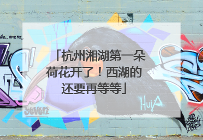 杭州湘湖第一朵荷花开了！西湖的还要再等等
