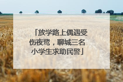 放学路上偶遇受伤夜鹭，聊城三名小学生求助民警