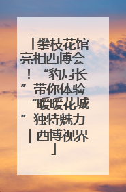 攀枝花馆亮相西博会！“豹局长”带你体验“暖暖花城”独特魅力｜西博视界